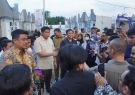 Menteri Ara